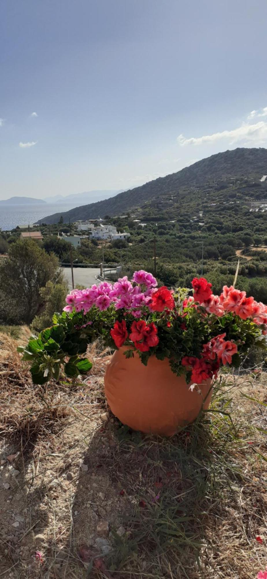 Hari Apartments Vathi, Agios Nikolaos Crete Экстерьер фото