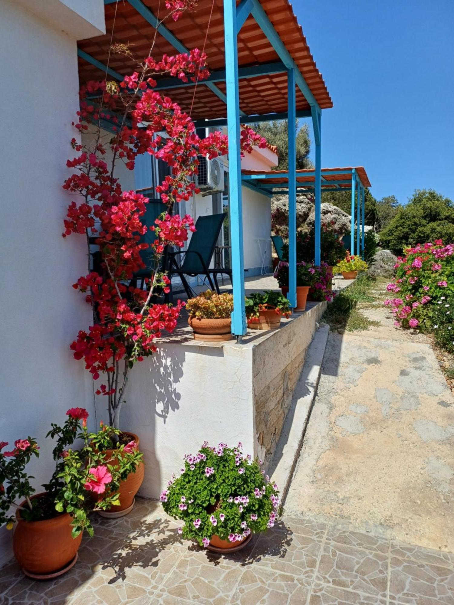 Hari Apartments Vathi, Agios Nikolaos Crete Экстерьер фото